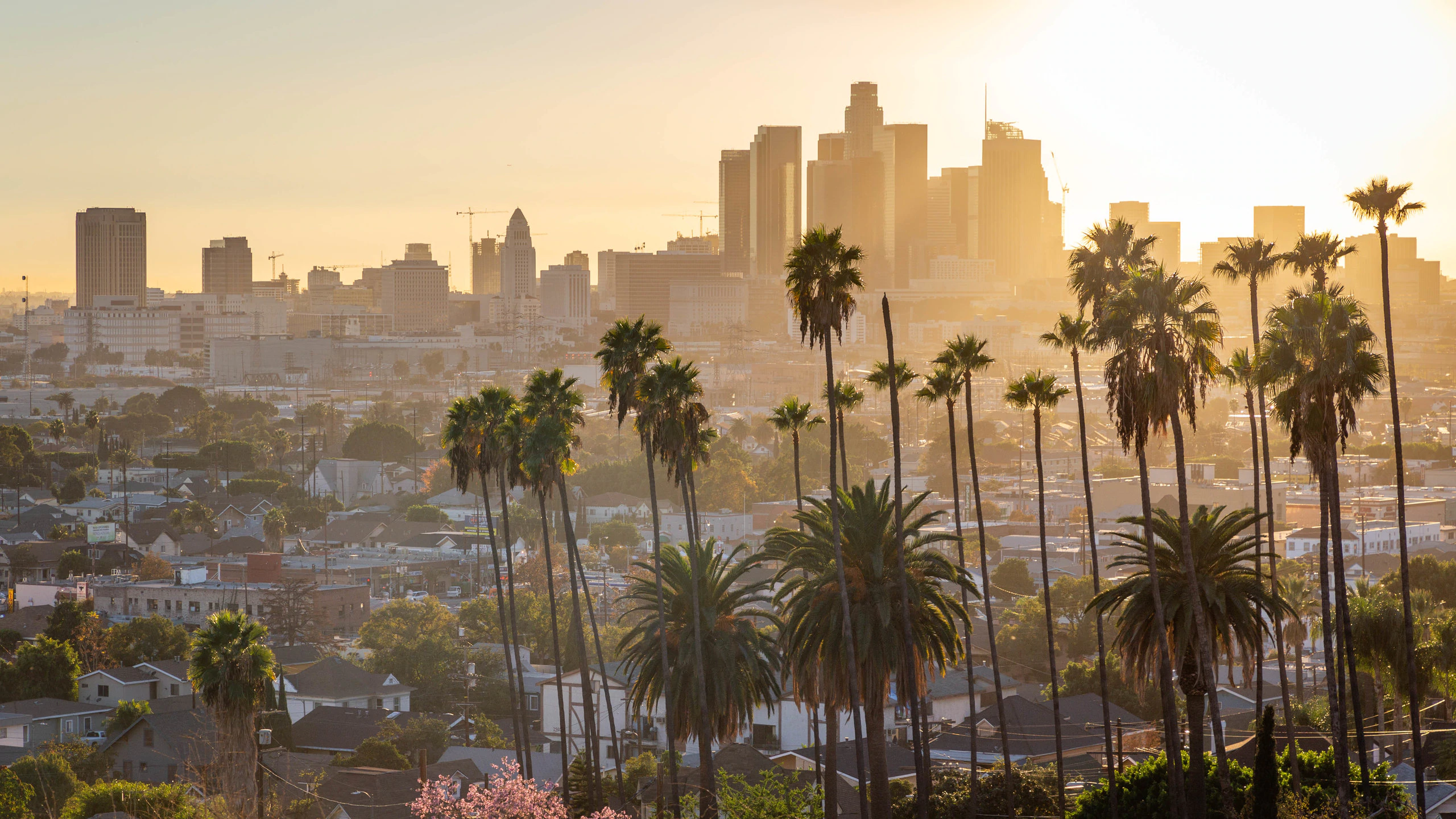 475457-Los-Angeles